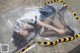 A woman laying on the ground covered in a plastic bag.