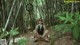 A woman in a black dress sitting in the middle of a bamboo forest.